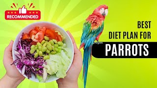 HOW TO MAKE NUTRITIONAL SOFT FOOD FOR PARROTS