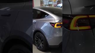 2023 Tesla Model Y Cinematic View