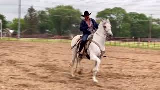 Calentado con los Caballos para el show de esta tarde!