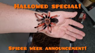 Halloween special announcement!