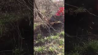 Stump bucket pulling up trees