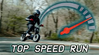 Rascal Mini Bike Top Speed | Tillotson 212cc | Go Power Sports