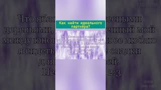 Как найти идеального партнёра? Как привлечь того самого или самую которая нравиться. Любовь.
