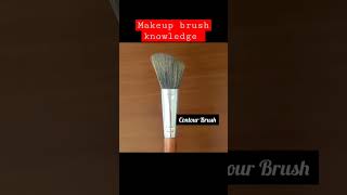 makeup brush knowledge for beginner #short #shorts #ytshorts #shortfeed #youtubeshorts #shortviral