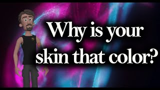 Why is your skin that color?