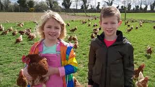 Butler's Organic Egg farm - Welcome to our Farm