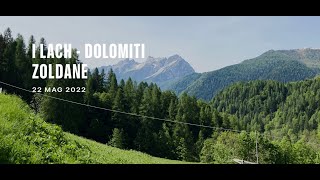 I Lach...alle falde del Monte Pelmo - DOLOMITI ZOLDANE