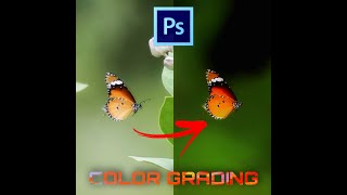 Professional Color Correction | Cinematic Color Grading Tutorial Photoshop | Photoshop CS6 Tutorial