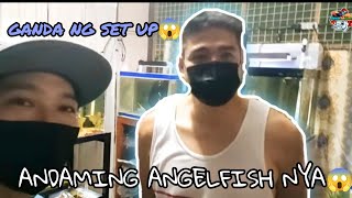 Malupet na breeder ng ANGEL FISH dito sa PANGASINAN😱 hanep sa SETUP ganda ng mga alaga😱