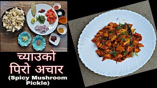 दशैँ विशेष अचार || च्याउको पिरो अचार | Chyau ko achar| Mushroom Pickle Recipe|Dashain Special Recipe