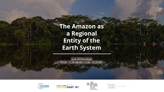 The Amazon We Want: The Amazon as a Regional Entity of the Earth System