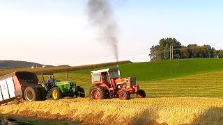 Chopping Corn Silage On A Dairy Farm! Getting Stuck On The Pile! Part Two (2024 Fall Harvest)