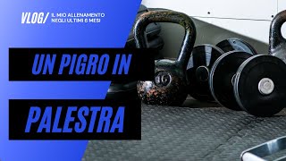 VLOG - Sono tornato in palestra! 😎🏋️‍♂️