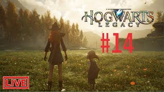 Hogwarts Legacy | Part 14 | Live Stream Full Walkthrough RoyALGaMzoYt