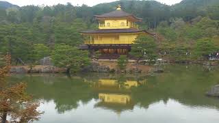 מקדש הזהב קיוטו יפן....golden tempel  -Kyoto , Japan