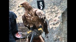 valkeniers uit Bouillon België deel 2