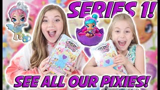 HATCHIMALS PIXIES SERIES 1 HAUL! SEE OUR WHOLE SET OF HATCHIMALS PIXIES!