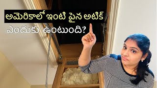 Interesting Video||అమెరికాలో అటిక్ ఎందుకు ఉంటుంది||Telugu Vlogs from USA||Telugu Vlogs