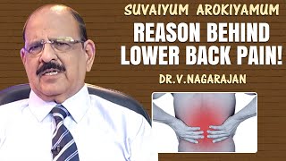 Reason Behind Lower Back Pain! | Dr .V .Nagarajan | Suvaiyum Arokiyamum | Krithika Radhakrishnan