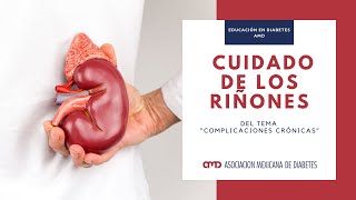 Cuidado de los riñones / Educación en Diabetes AMD