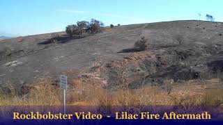 Lilac Fire Aftermath - Bonsall Preserve