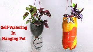 Self Watering Hanging Pot Idea From Plastic Bottles #GardenTricks#RoofGarden