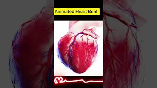 The Heartbeat animation🫀#trendingshorts#trending#millionviews#shortfeed#shortvideo#heart#heartbeat