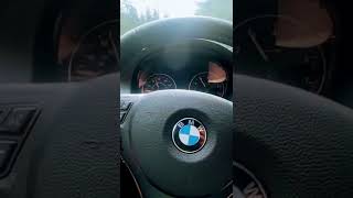 Driving the 330xi BMW in the redwoods