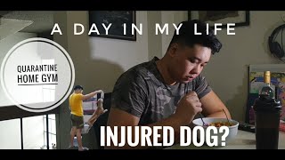 A DAY IN MY LIFE || QUARANTINE EDITION || HOMEGYM || VLOG 011