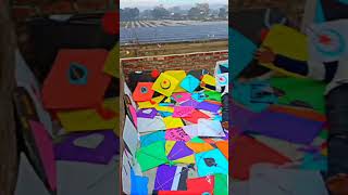 15 August kite flying special video #patangbazi #15august #15august2024 #kiteflying