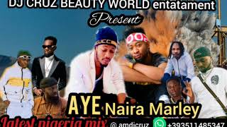 AYE NAIRA MARLEY LATEST NIGERIA 2020 MIX FT DJ CRUZ, MASTER KG,DAVIDO ZLATAN TIMAYA PATORAKING