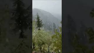 Snowfall in Manali #Shorts | Pahadi song | Himachal Status | Manali Status | Himalayan Gypsy