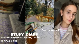 Study diary: восстанавливаю режим, учу и мало сплю