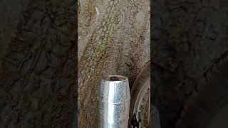 Bajaj Boxer Bike silencer firing sound