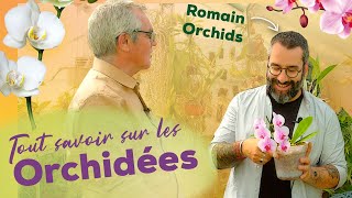 Orchidées : bien les choisir, rempotage, arrosage, floraison, exposition et fausses bonnes idées !