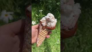 choco cone ice cream