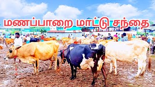 மணப்பாறை மாட்டு சந்தை🐄 ||  manapparai cow market🐂 October month #santhai #Maadu #cow #vlog