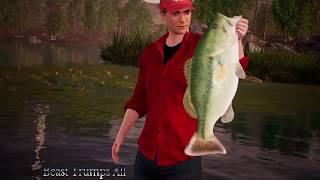 Fishing World Sim | Gameplay | South meets North