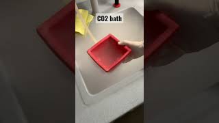 CO2 bath