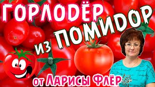 ГОРЛОДЕР ИЗ МОИХ ПОМИДОР, КЛАССНЫЙ ЗАКУСОН!