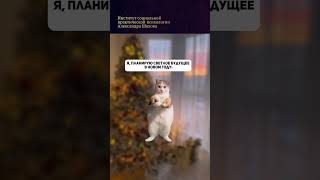 POV: планируешь светлое будущее в Новом Году #shorts