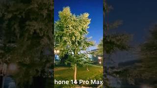 camera test: oneplus 11 vs iphone 14 pro max