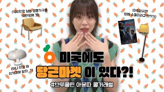 [KOR/ENG] 미국에도 당근🥕 번개⚡️가 있다?! 뉴욕에서 가구 득템하는 꿀팁전수!