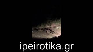 www.ipeirotika.gr - Καλπάκια 2017, 3