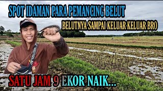 SPOT IDAMAN PARA PEMANCING BELUT, BELUTNYA SAMPAI KELUAR-LUAR, 1 JAM NAIK 9 EKOR