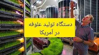 دستگاه علوفه هیدروپونیک آمریکا + مزیت معایب