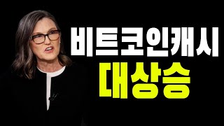 비트코인캐시 도지코인 이캐시 전망