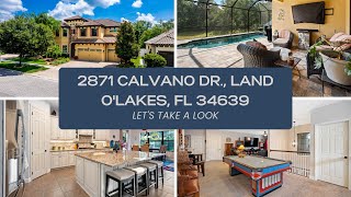 Inside A Stunning Land O'lakes Home: Perfect For Hosting & Comfort | FloridaLivingGroup.net