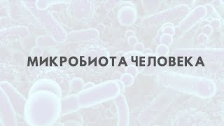 Микробиота человека