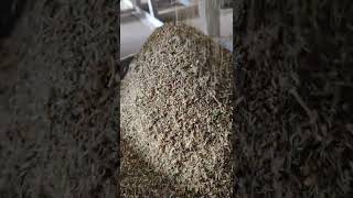 Coriander Seeds Cleaning Machine | धनिया साफ करने की मशीन | Mo. 9099997758